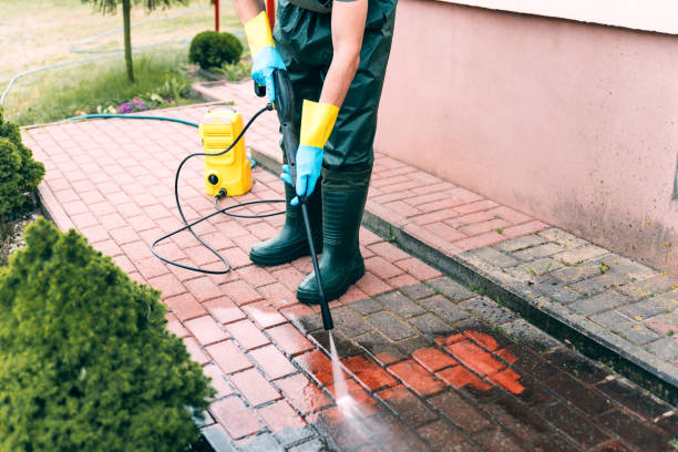 Best Patio and Deck Pressure Washing  in USA